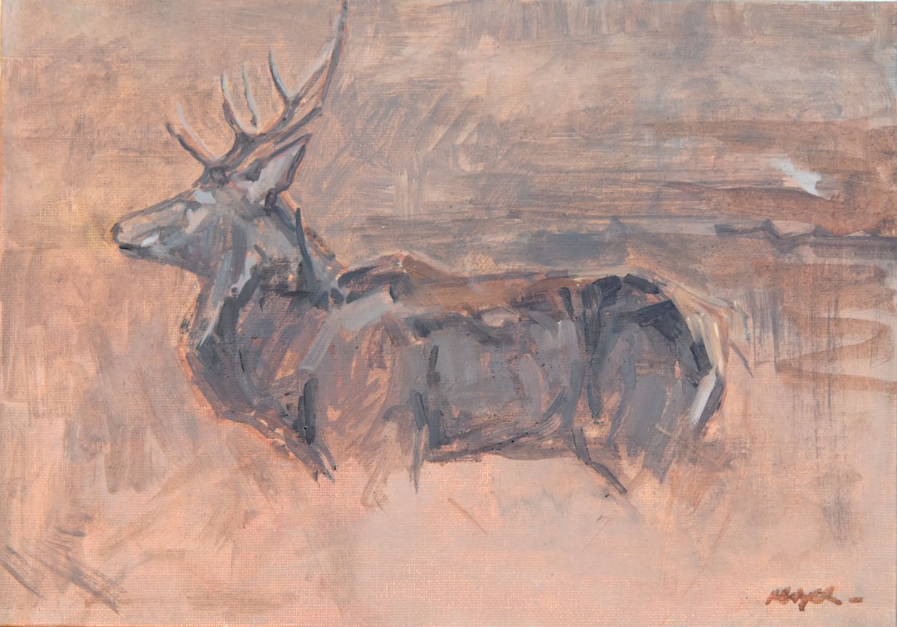 Red Deer Stag, 2023 (olie på lærred) af David Mayer