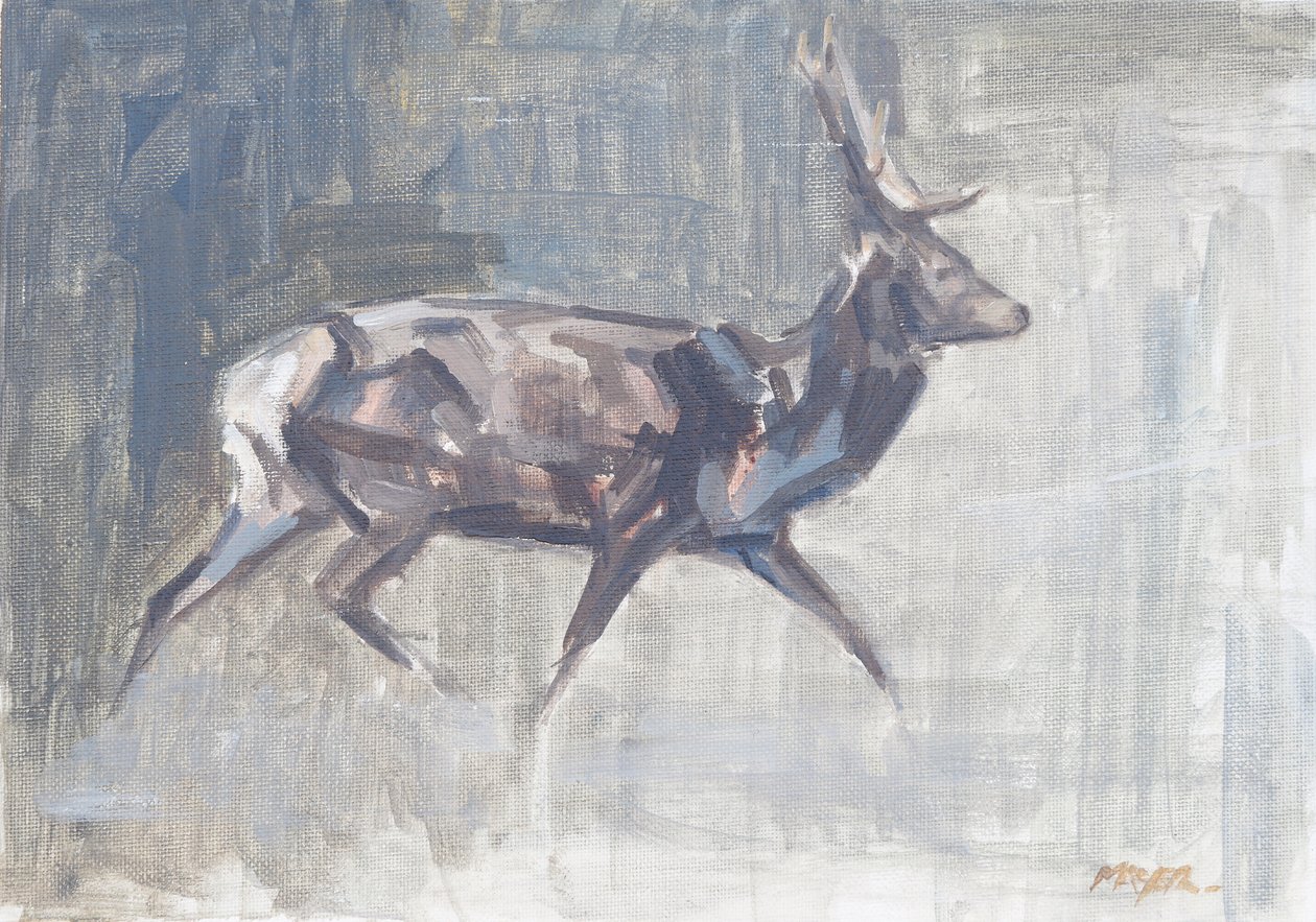 Red Deer Stag Running, 2023 (olie på lærred) af David Mayer