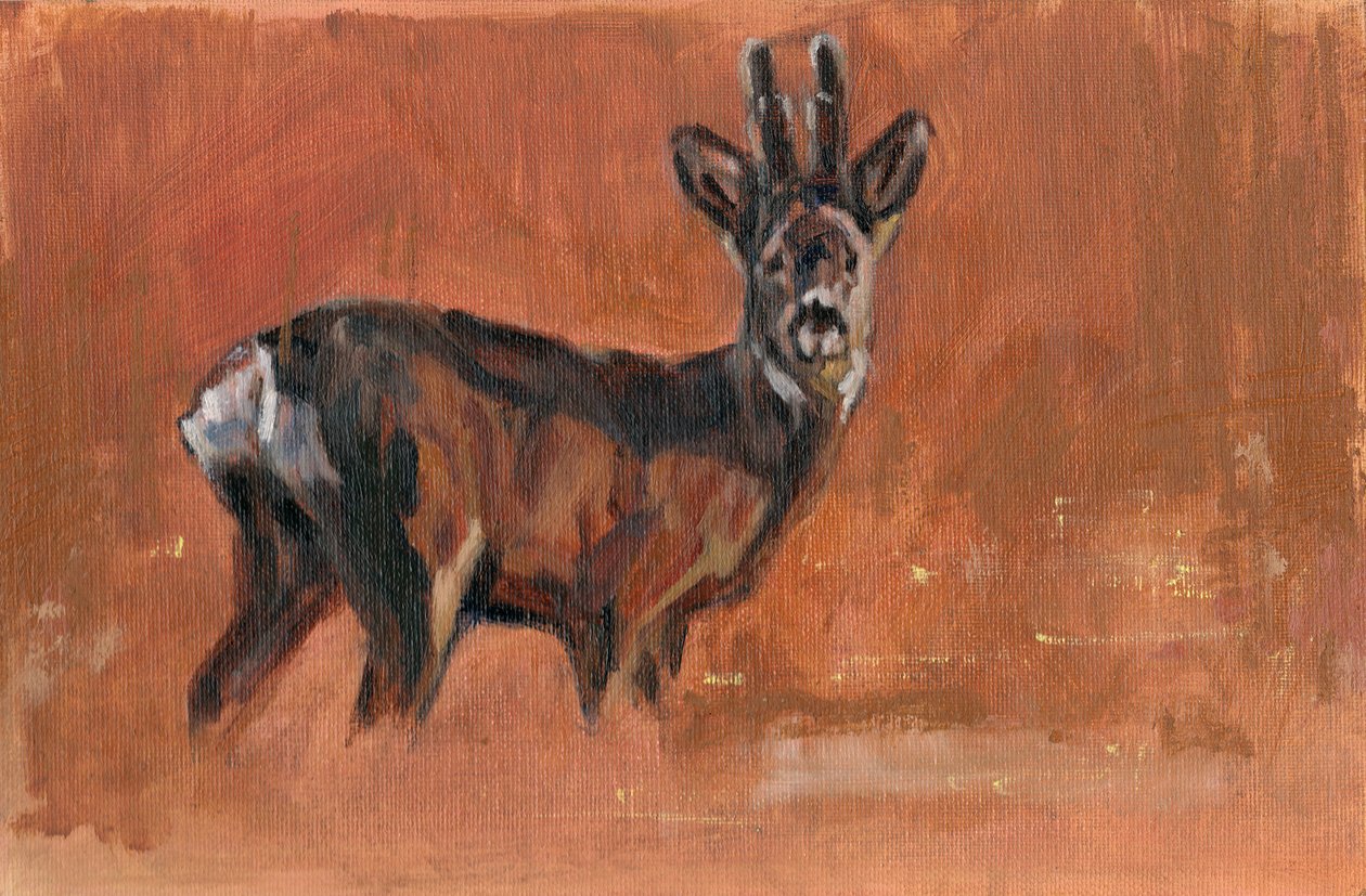 Roe Buck, 2021 af David Mayer