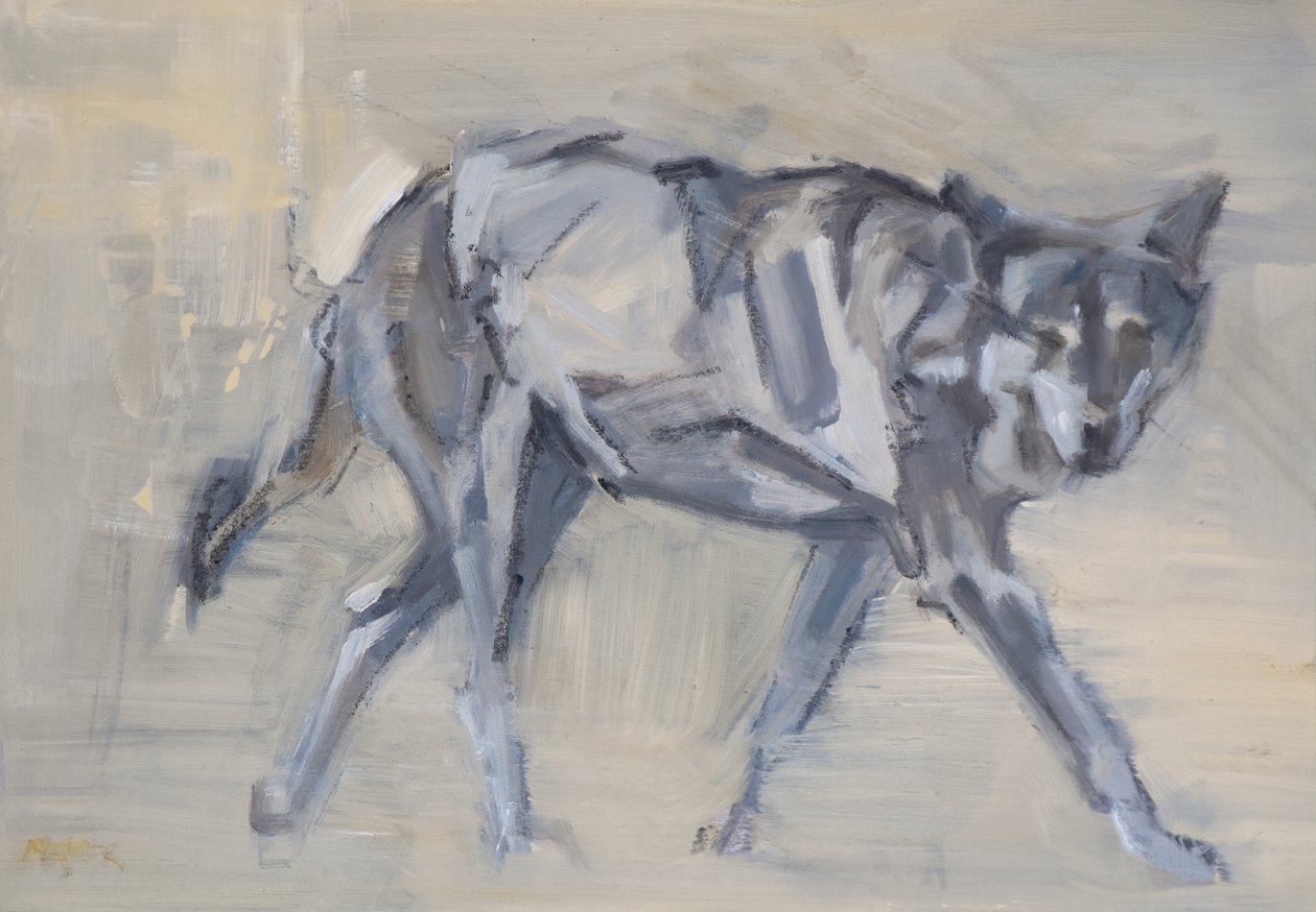 Wolf 11, 2023 (olie på panel) af David Mayer