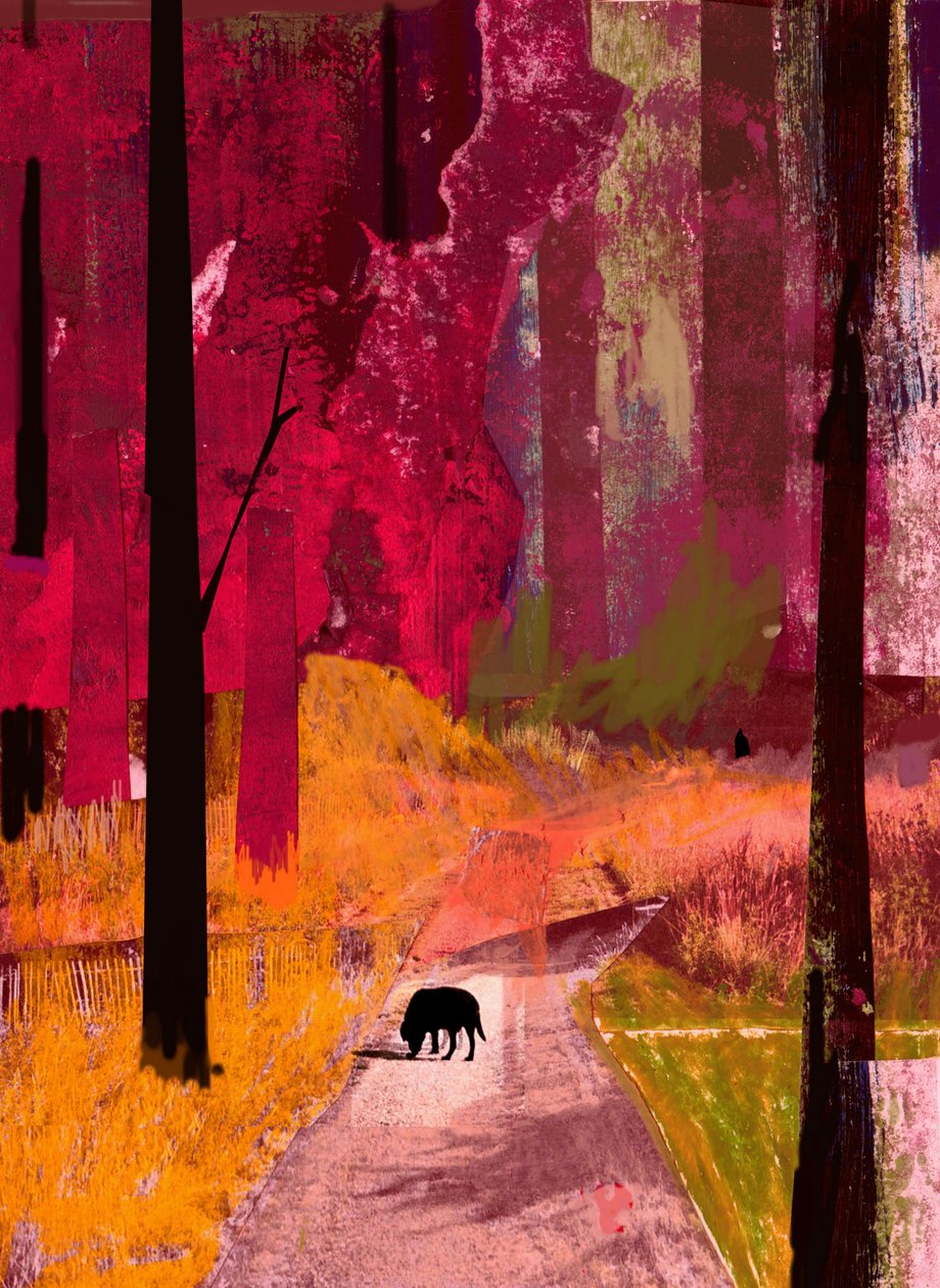 Sort hund, 2013, Collage på papir af David McConochie