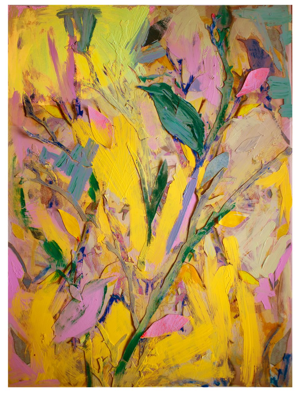 Stære, 2017 af David McConochie