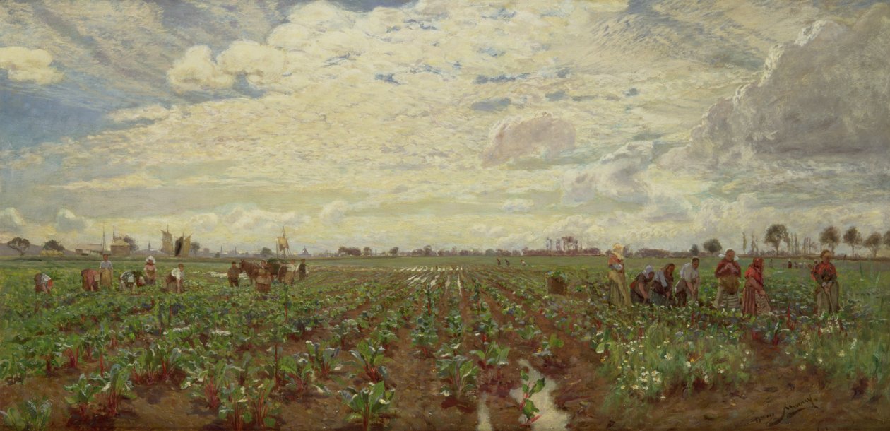 Feltarbejdere, Holland, 1880