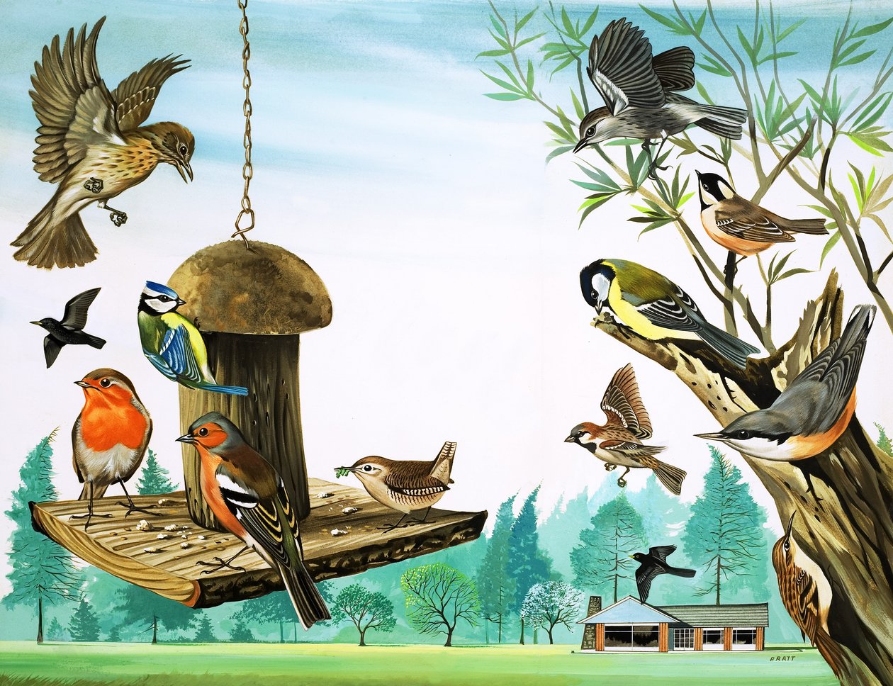 Alle slags fugle omkring havebordet, illustration fra 