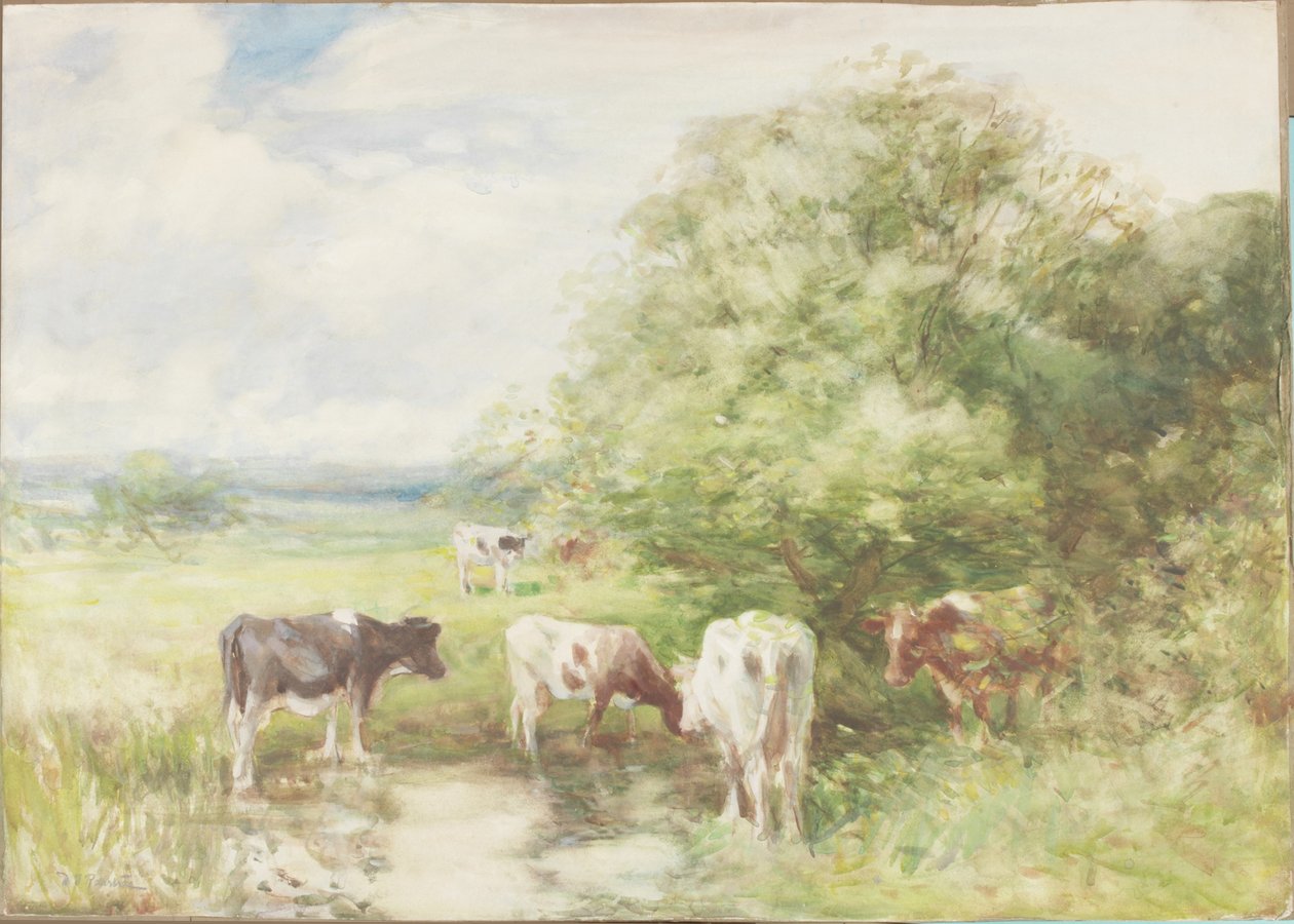 The Shady Pool (akvarel på papir på kort) af David T. Robertson
