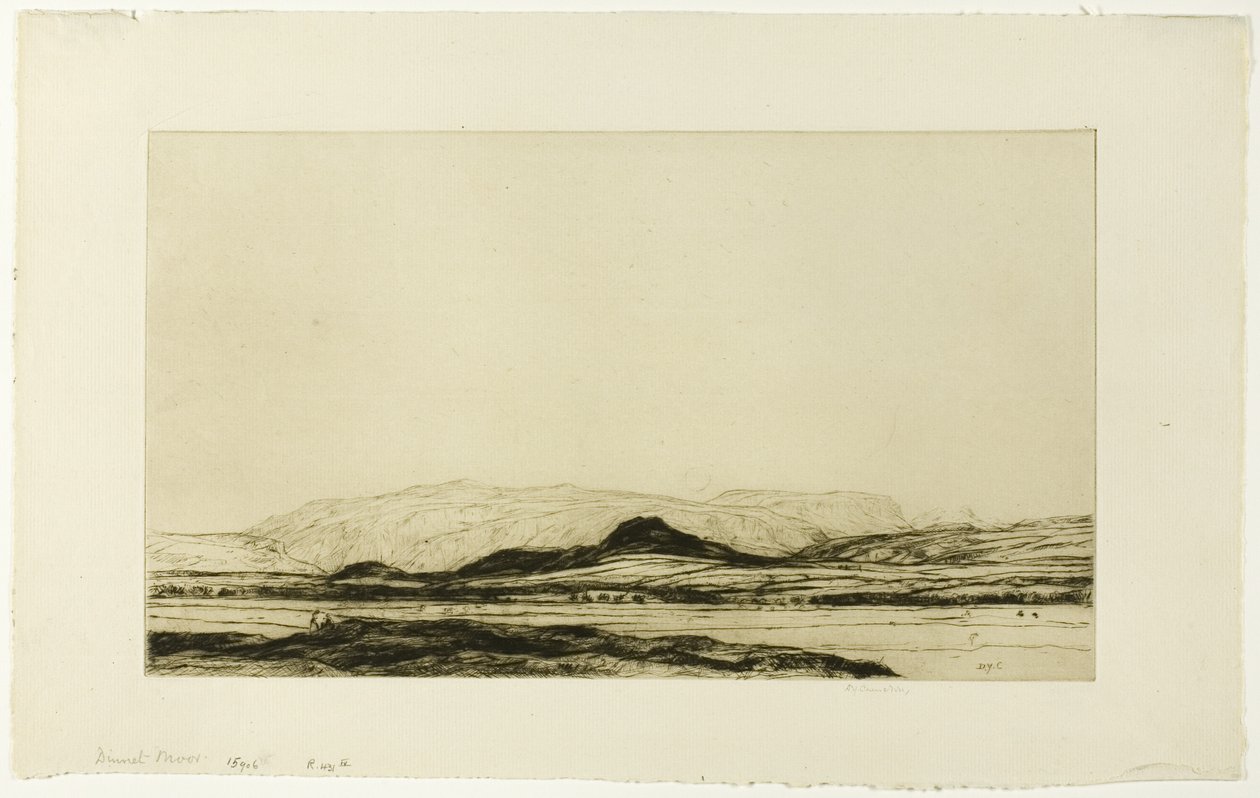 Dinnet Moor af David Young Cameron