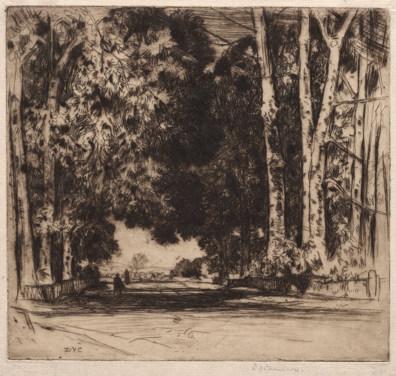 Avenue af David Young Cameron