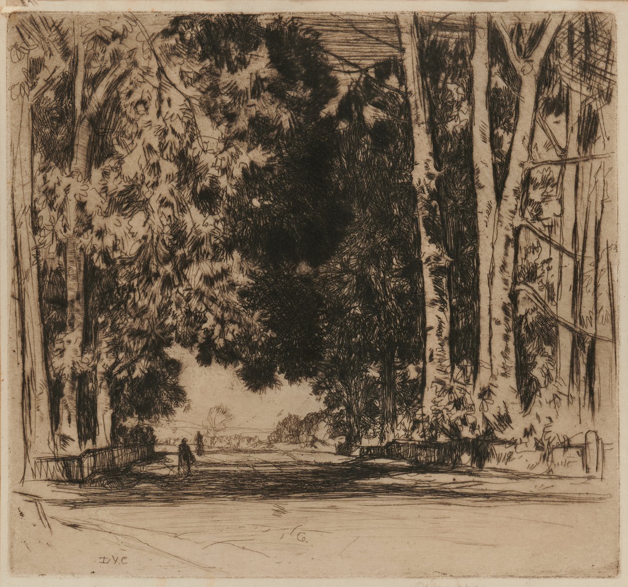 Avenue af David Young Cameron