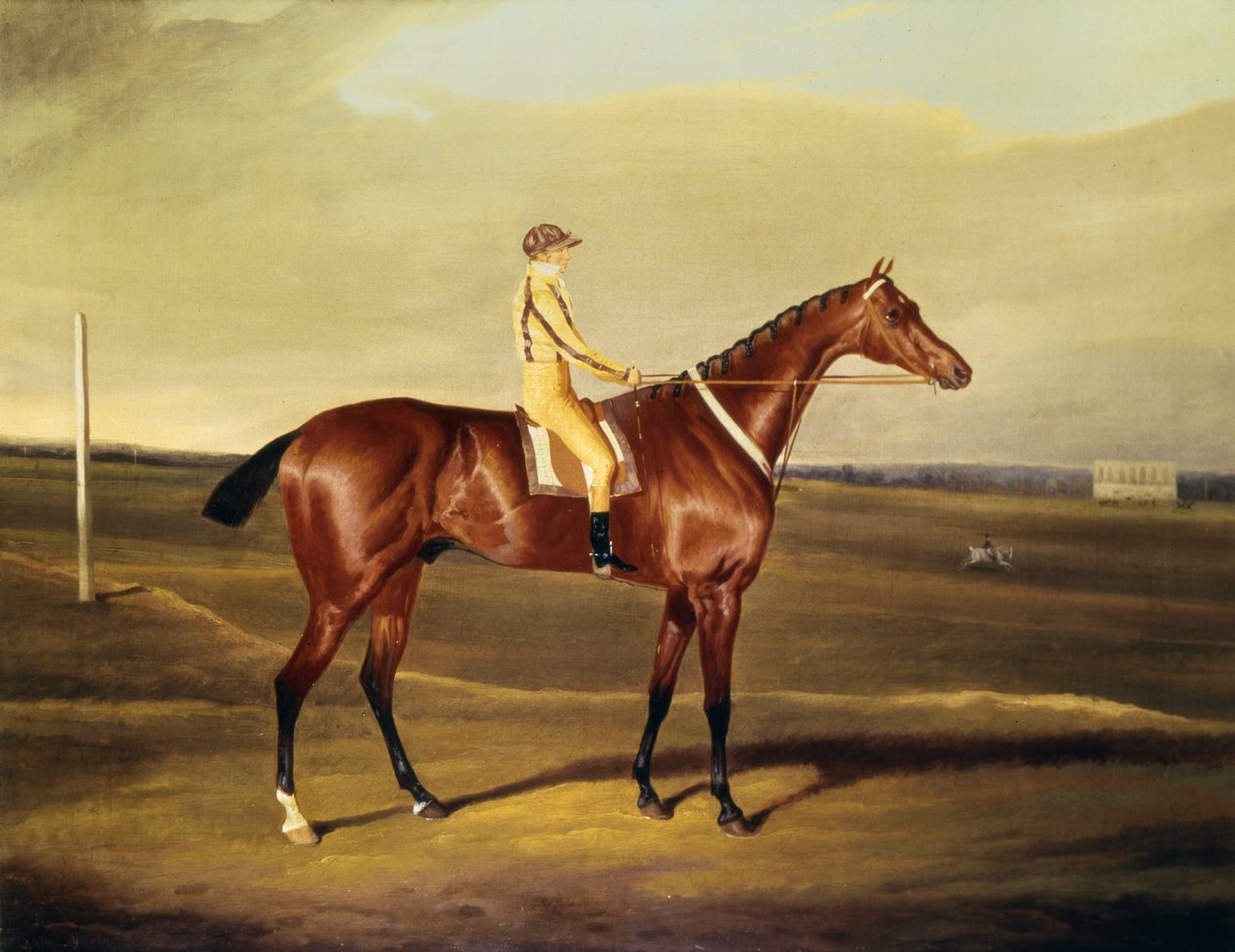 Den Hon. Robert Grosvenors Tawpy af David of York Dalby