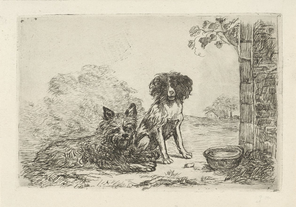 To hunde af David van der Kellen