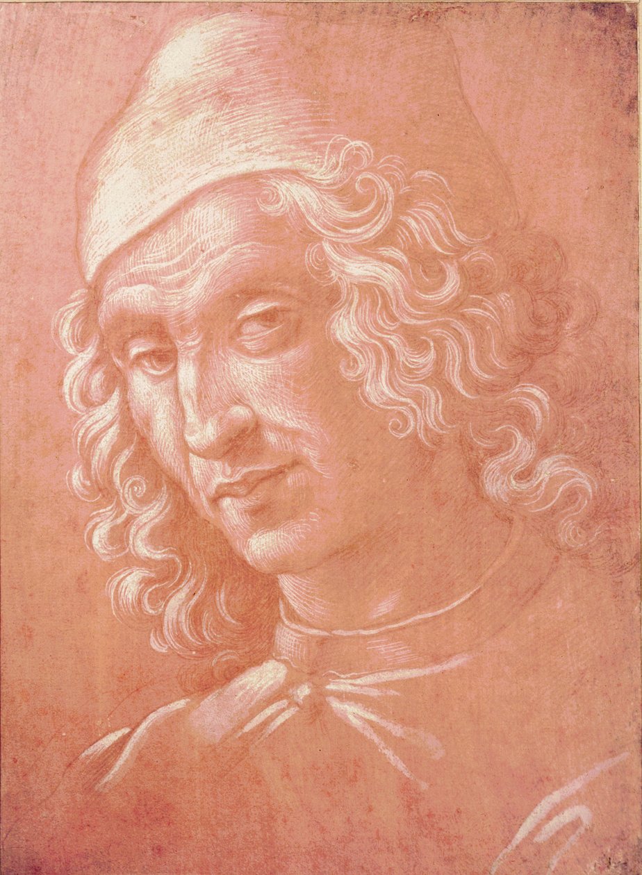 Head of a Man (sølvspids på papir) af Davide Ghirlandaio
