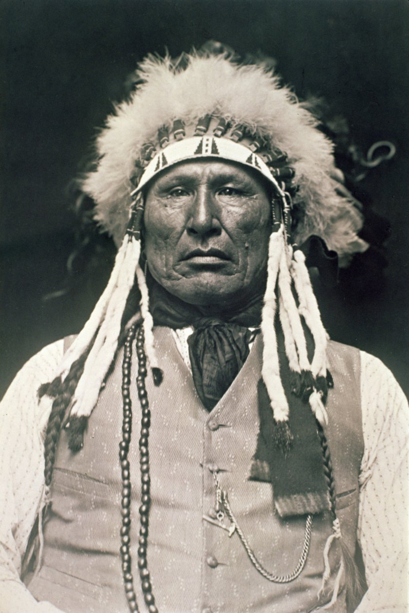 Wooden Leg, kriger fra det nordlige Cheyenne, der kæmpede i slaget ved Little Bighorn i 1876 af DeLancey W. Gill