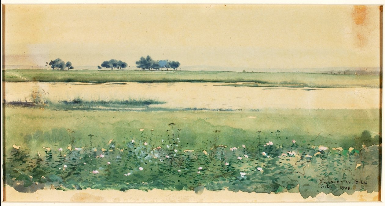 (Landskab med sumpområder) af De Lancey Gill