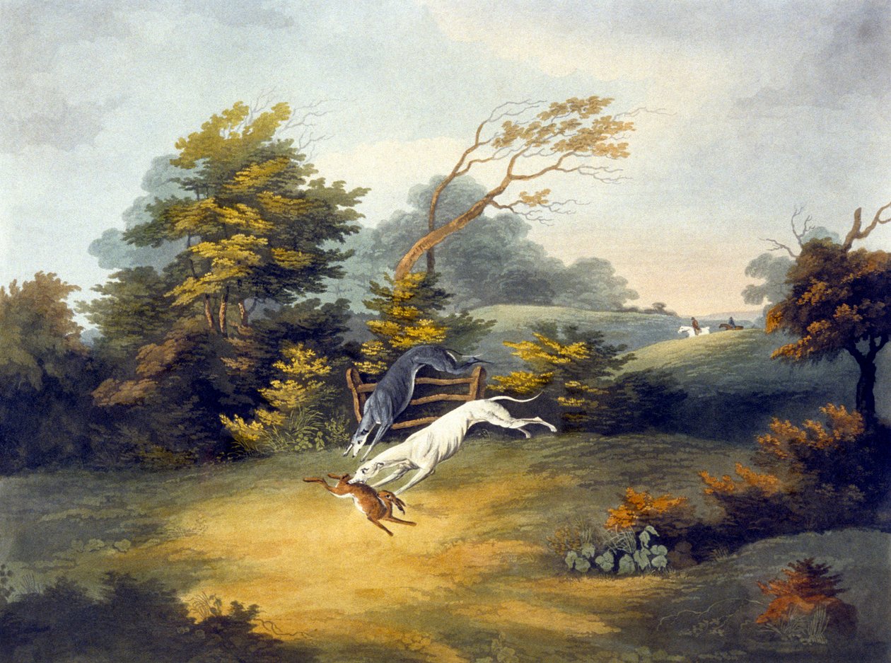 Coursing, plade 4, graveret af R.G. Reeve af Dean Snr. (after) Wolstenholme
