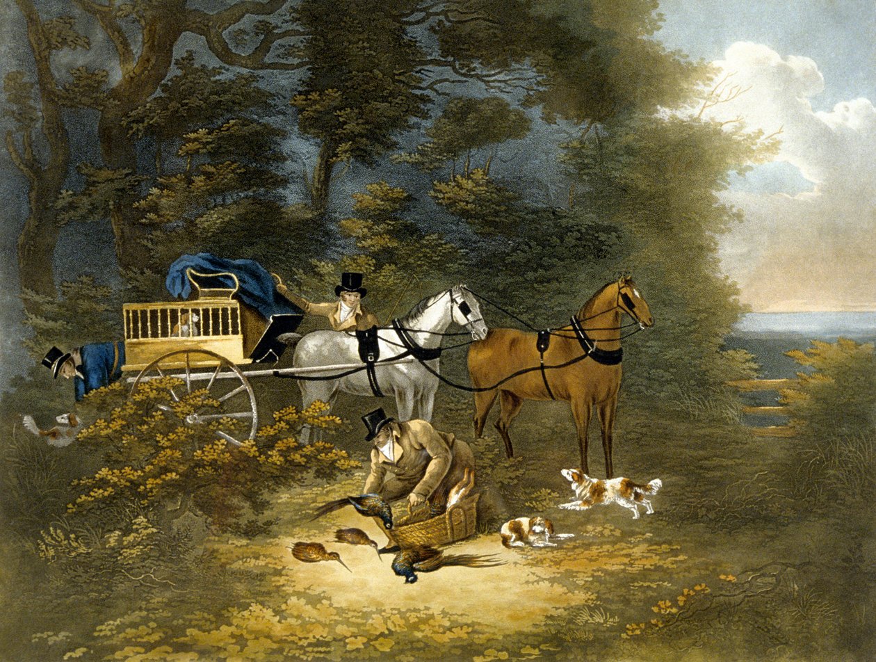 Skydning, plade 4, graveret af R.G. Reeve af Dean Snr. (after) Wolstenholme
