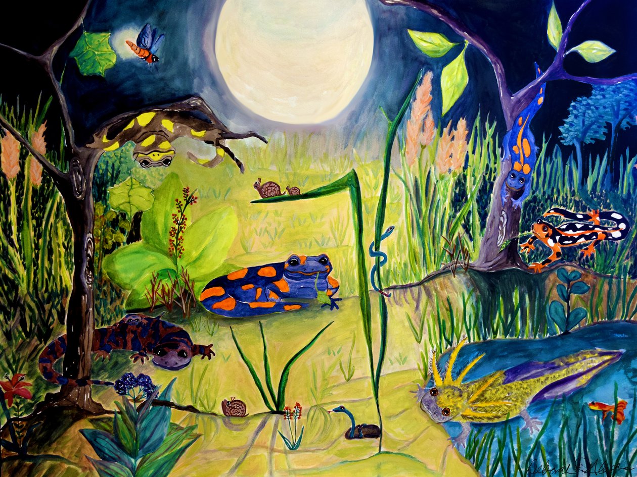Awake While You Sleep, 2015 (akvarel) af Deborah Eve Alastra