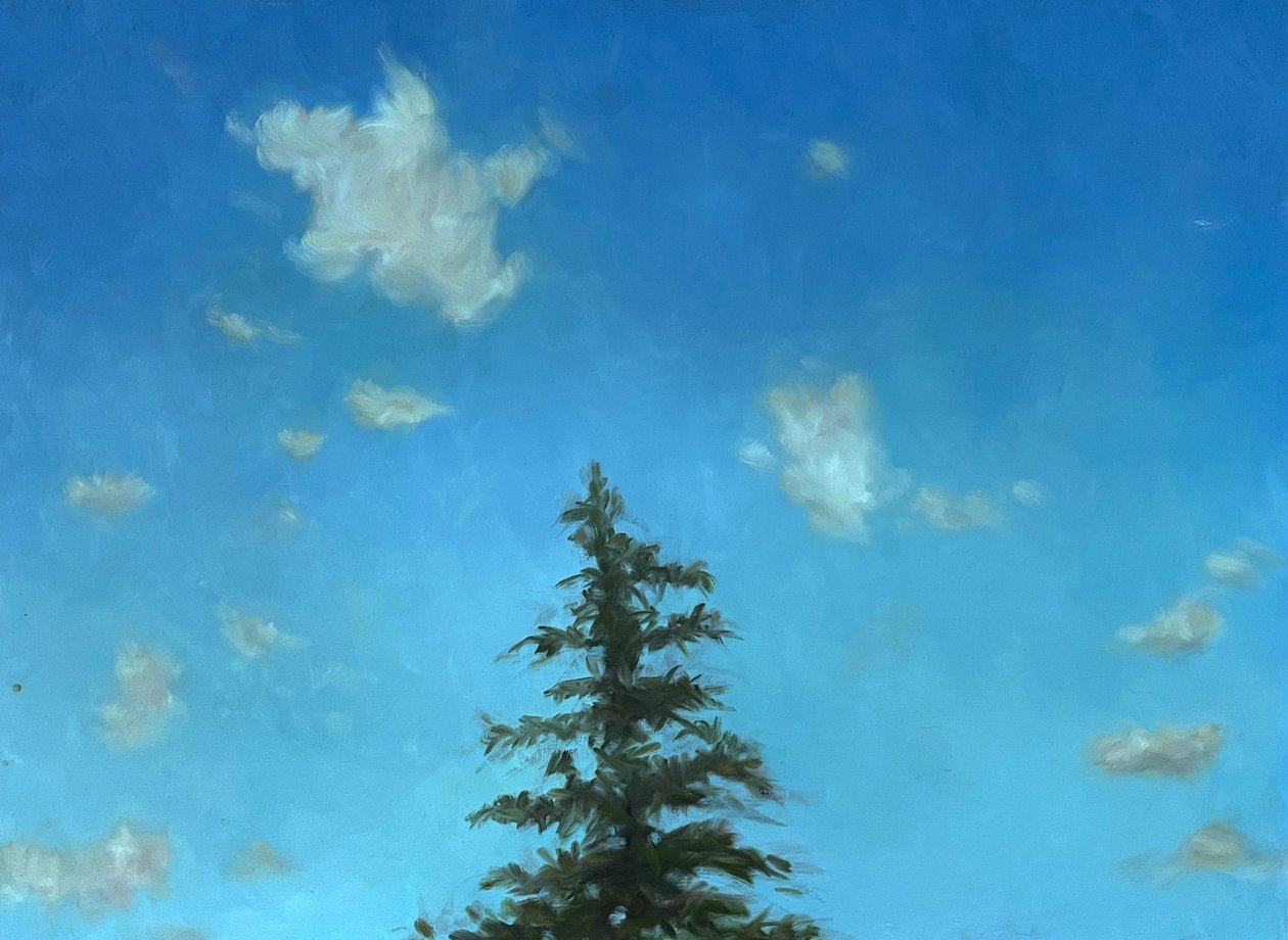 Lone Pine, 2002 (maleri) af Deborah Stevenson