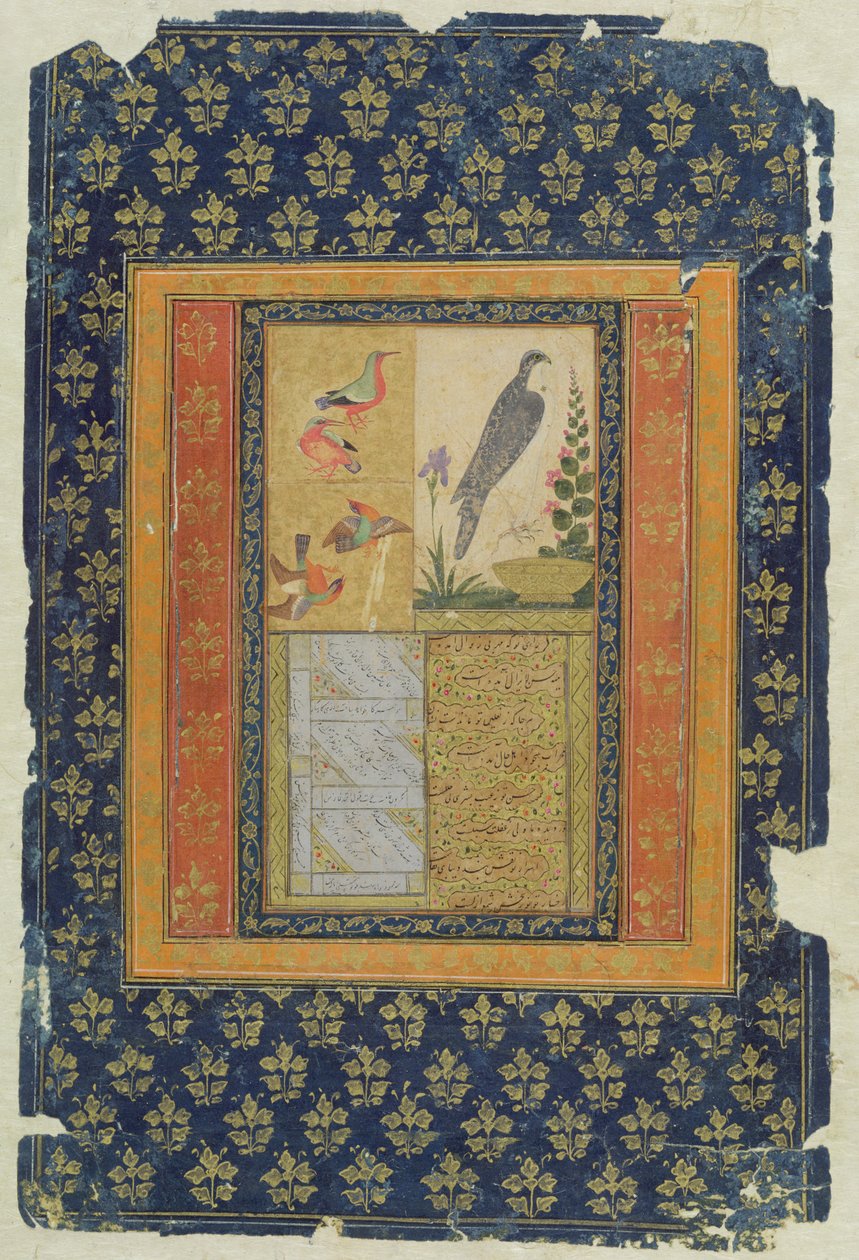 Fuglestudie og kalligrafi, Golconda, Andhra Pradesh, 1570, (gouache, blæk og guld på papir med dekoreret kant) af Deccani School