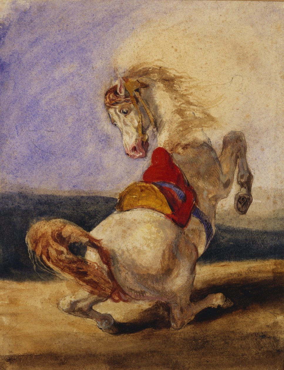Opdragende hest af Delacroix