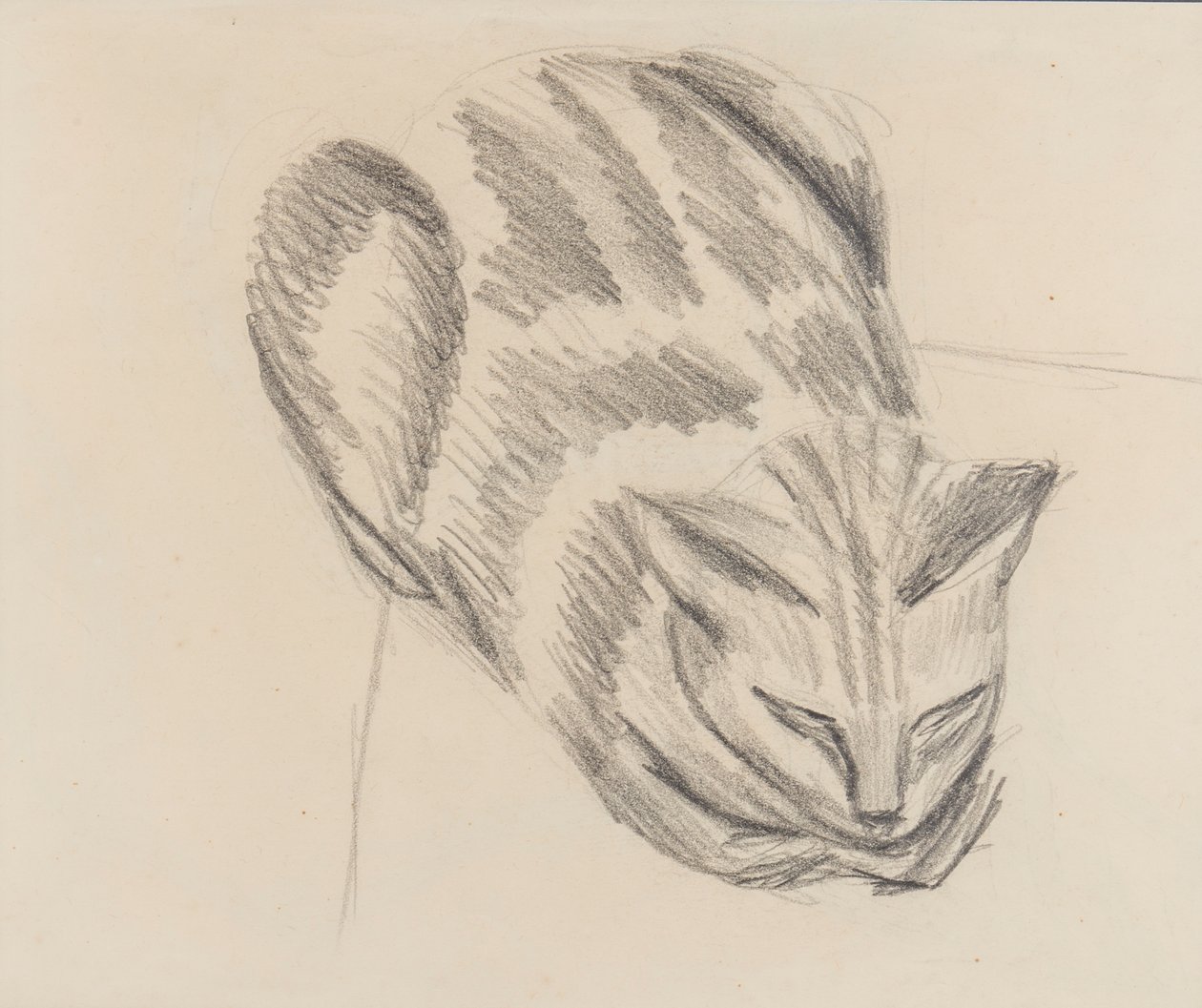 Sovende kat (blyant på papir) af Denton Welch