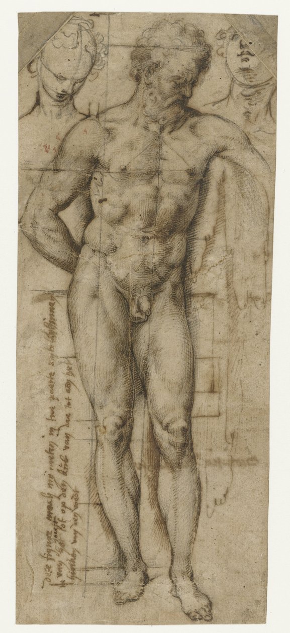 Studie af en nøgen mand (Hercules?) og to hoveder af kvinder af Denys Calvaert