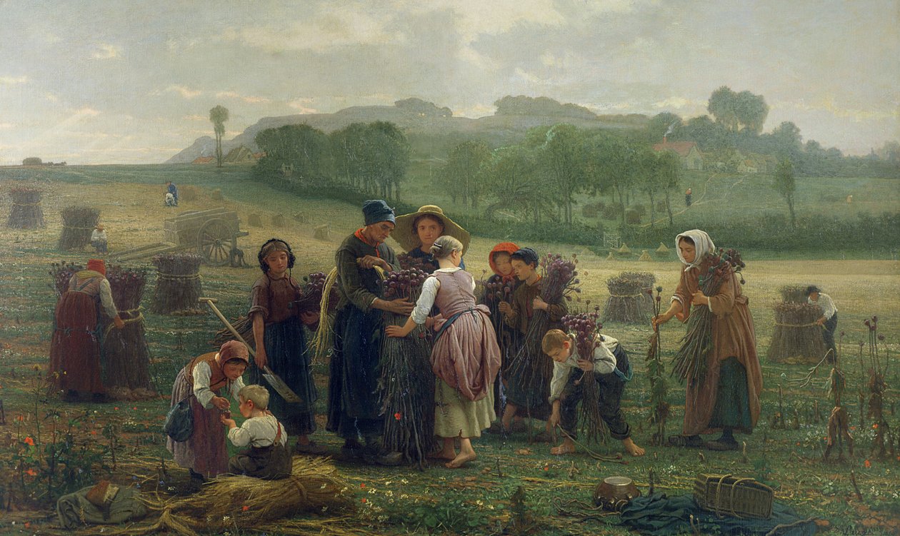 Høst valmuer i Picardie, 1860 af Desire Francois Laugee