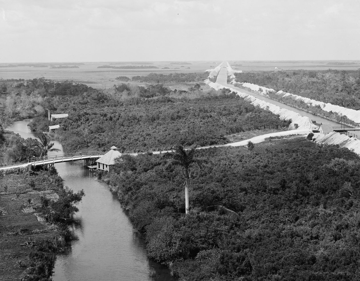 Dræningskanalen og Everglades, Miami, Florida, ca. 1910-20 af Detroit Publishing Co.