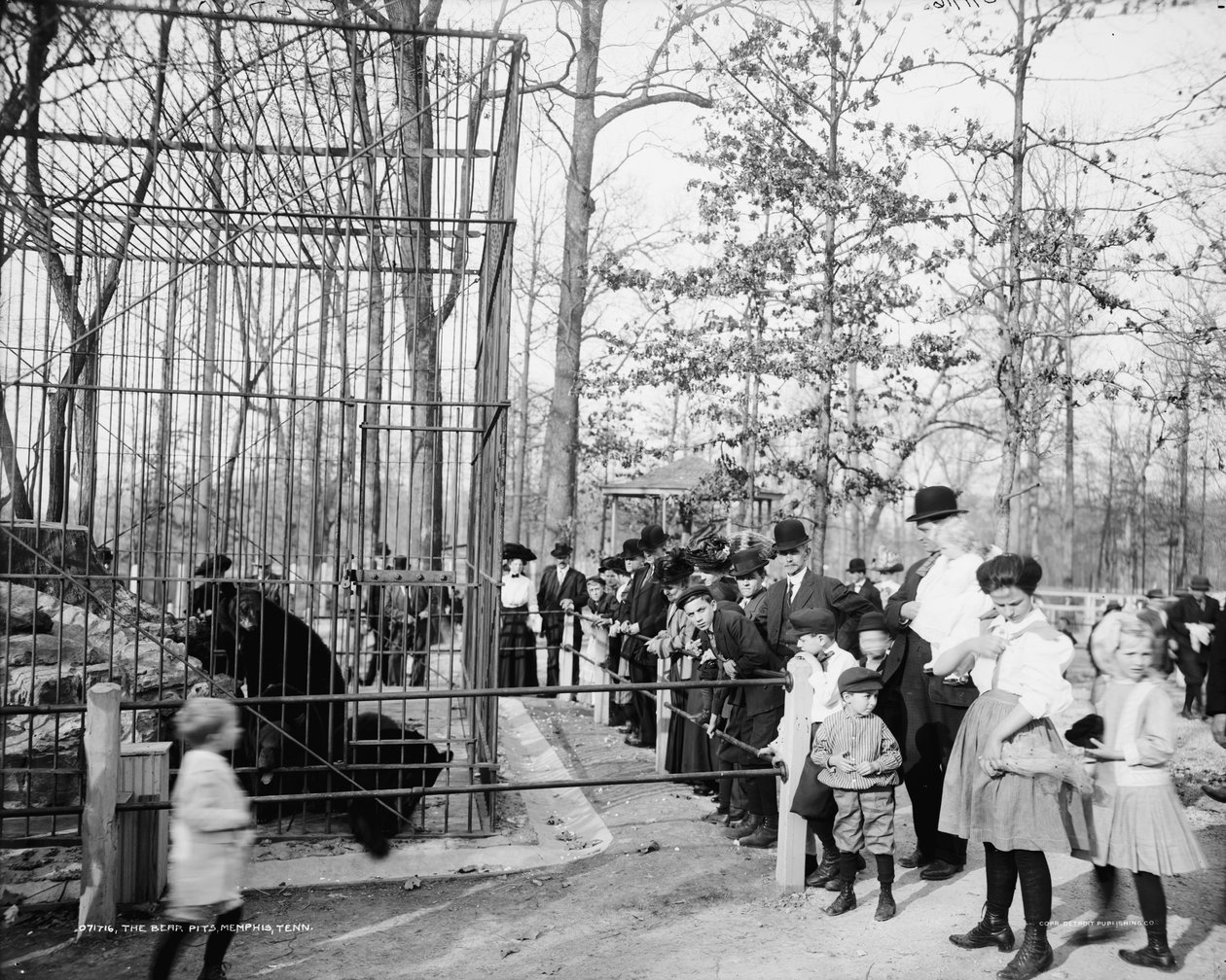 The Bear Pits, Memphis, Tennessee, ca. 1900-20 af Detroit Publishing Co.