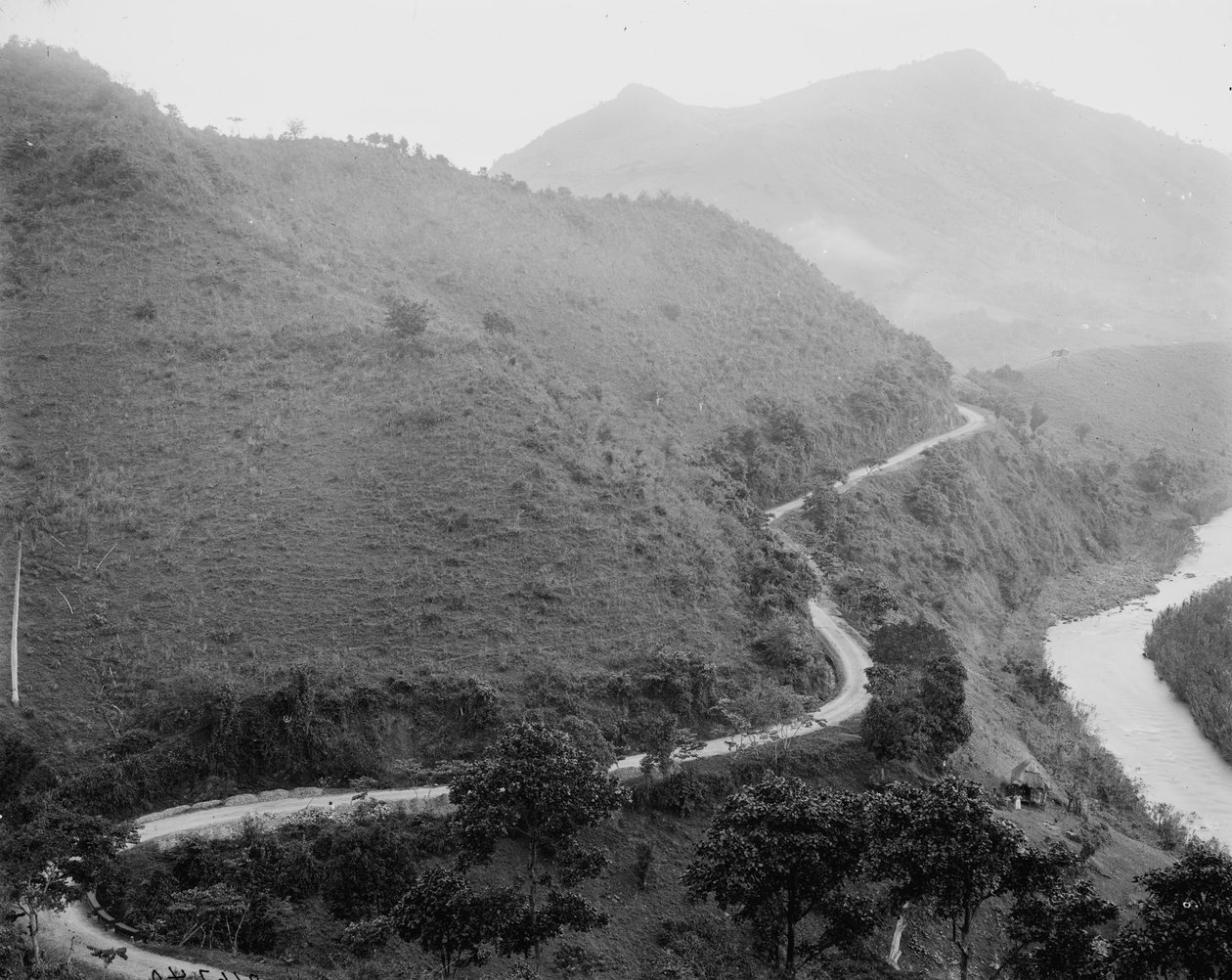 The Military Road, Puerto Rico, ca. 1903 af Detroit Publishing Co.