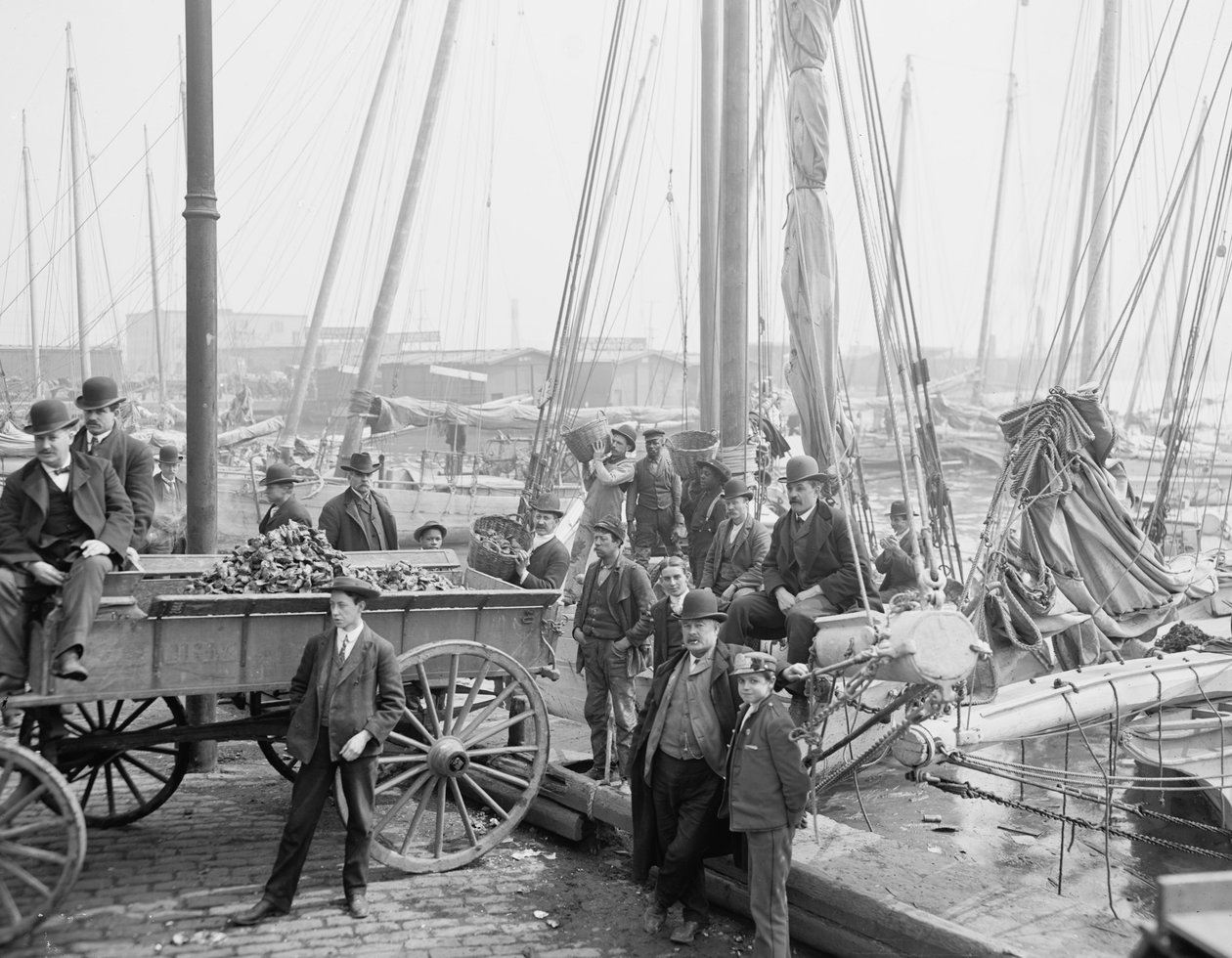 Lossning af østers luggers, Baltimore, Maryland, 1905 af Detroit Publishing Co.