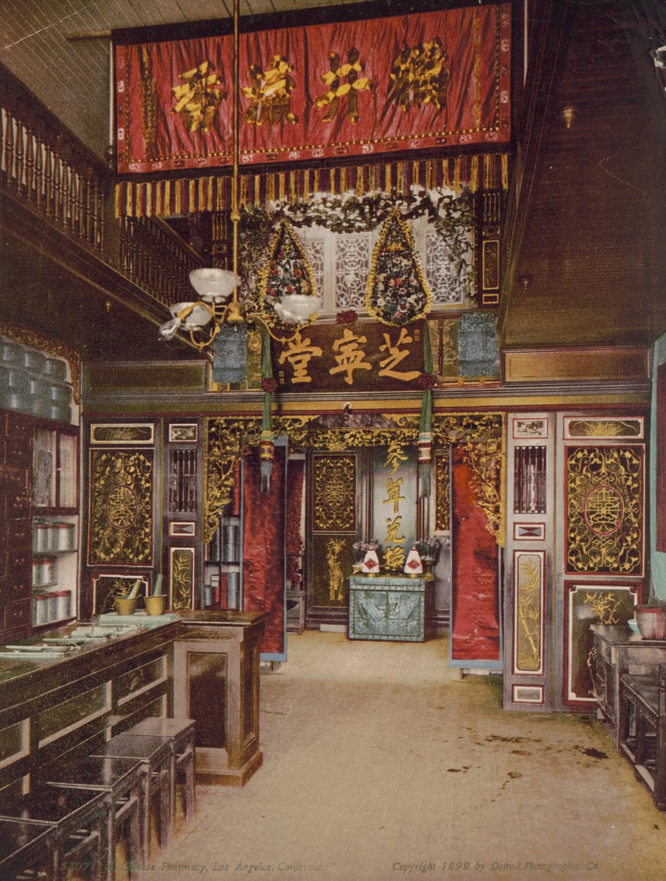 Chinese pharmacy, Los Angeles, California, 1899dani af Detroit Photographic Co.