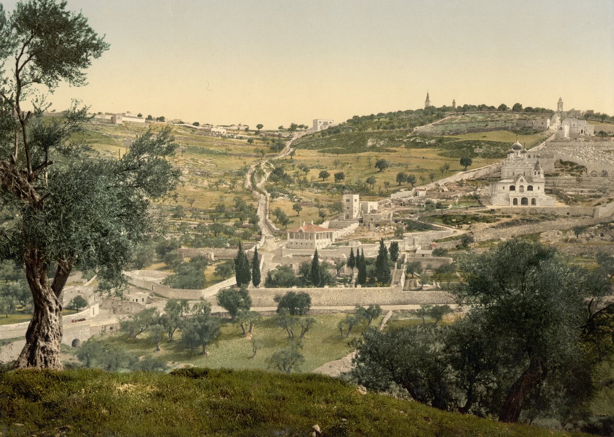 Oliebjerget og Getsemane, generel udsigt, Jerusalem, ca. 1890-c. 1900 (fotokromtryk) af Detroit Photographic Co.