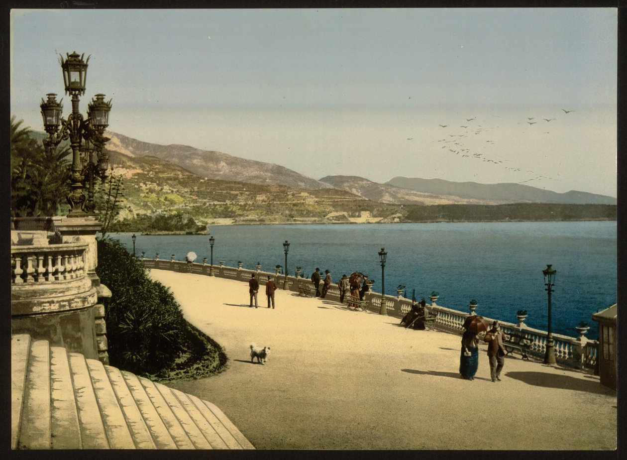 Casino Terrace, Monte Carlo, Riviera, Monaco af Detroit Publishing Co.