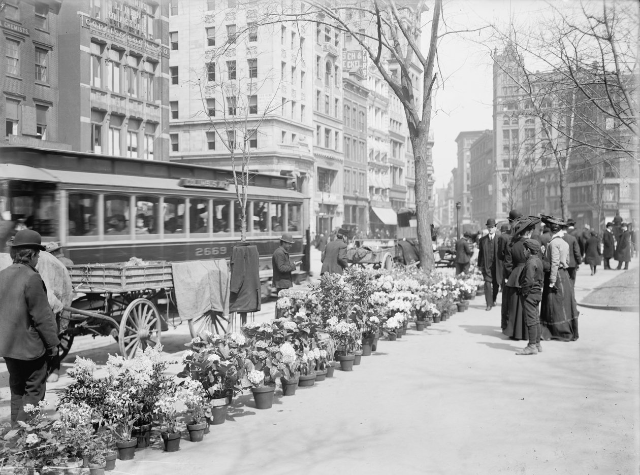 Flower Vendors, Easter Display, New York City, USA, c.1904dani af Detroit Publishing Co.