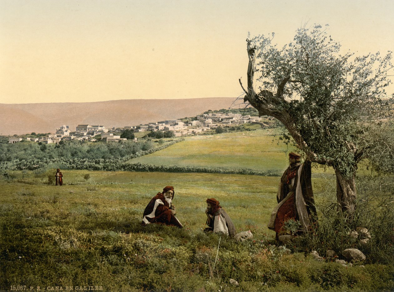 Oversigt, Kana i Galilæa, Det Hellige Land, ca. 1890-1900 (fotokromtryk) af Detroit Publishing Co.