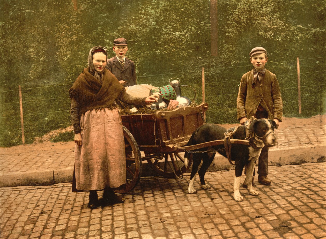 Milk Sellers, Bruxelles, Belgien, ca. 1900 af Detroit Publishing Co.