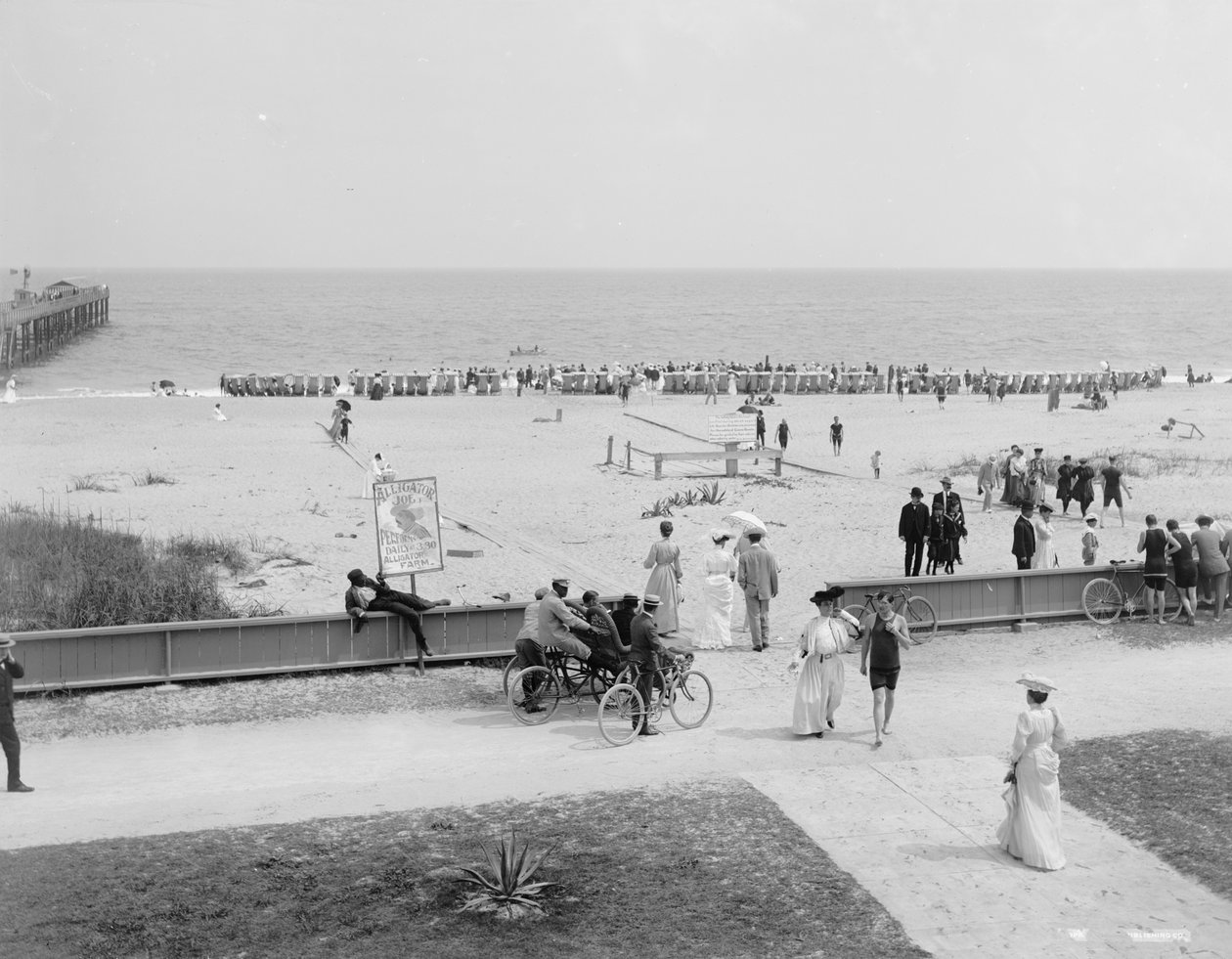 Palm Beach, Florida, ca. 1905 (s/h-billede) af Detroit Publishing Co.
