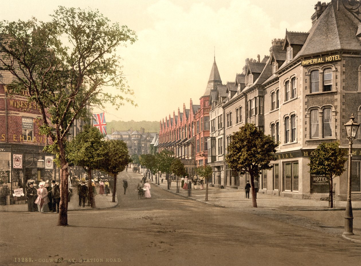 Station Road, Colwyn Bay, Wales, ca. 1890-1900 (fotokromtryk) af Detroit Publishing Co.