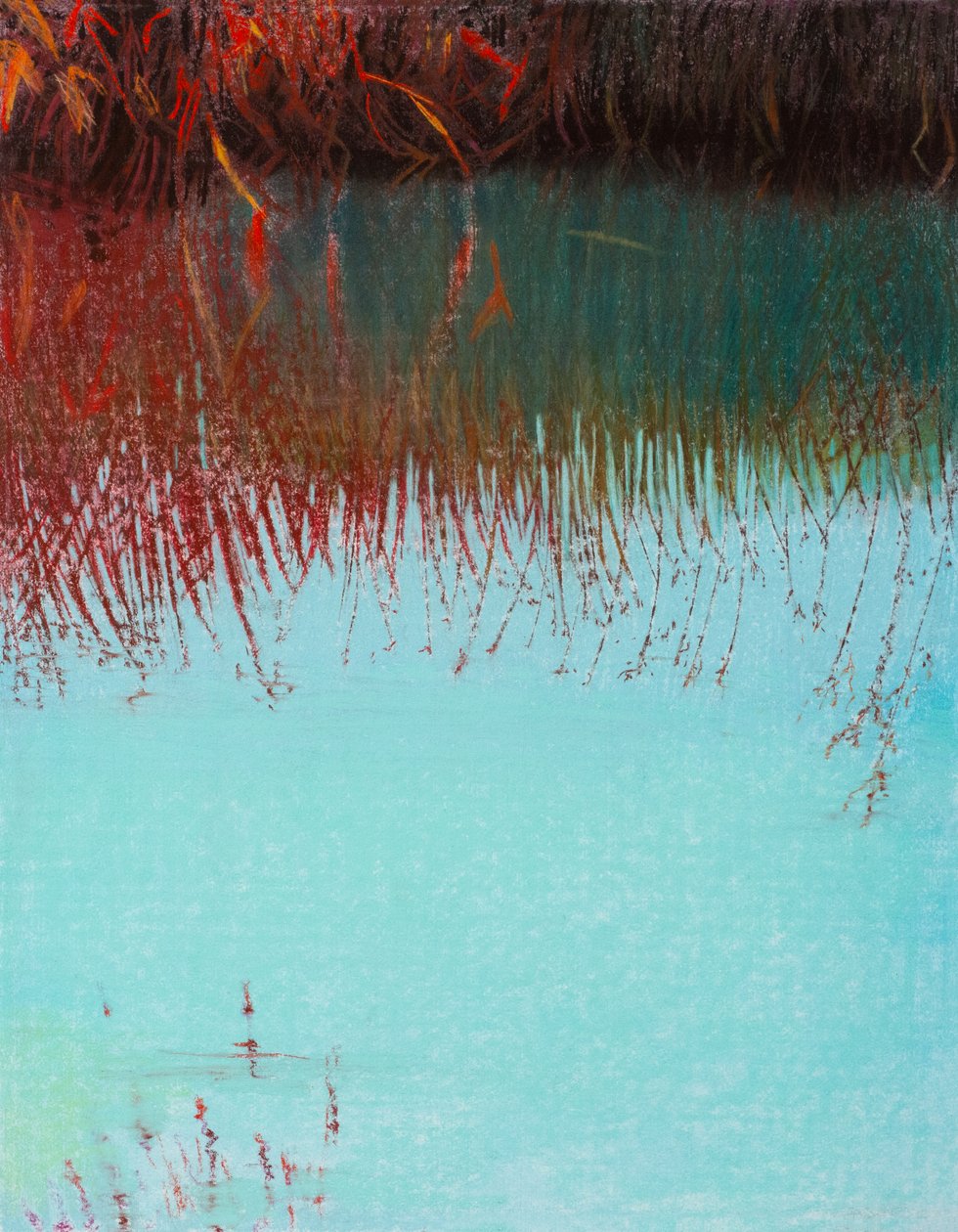 Red Willow 3b, 2021 (pastel på papir) af Diana Jahns