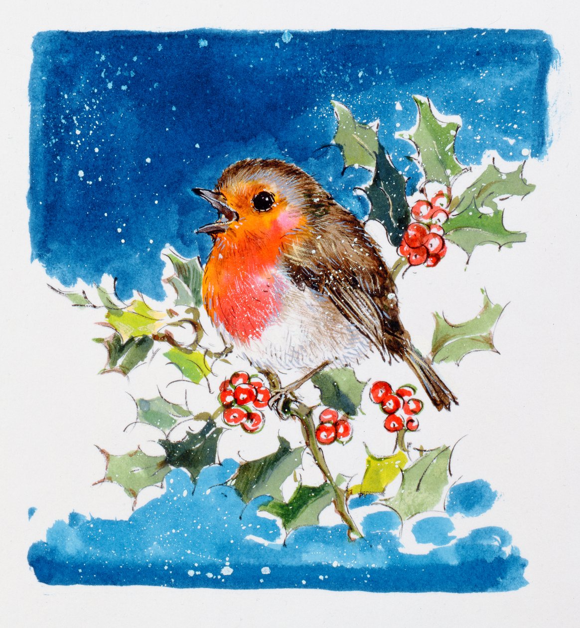 Robin Red-breast, 1996 (wc) af Diane Matthes