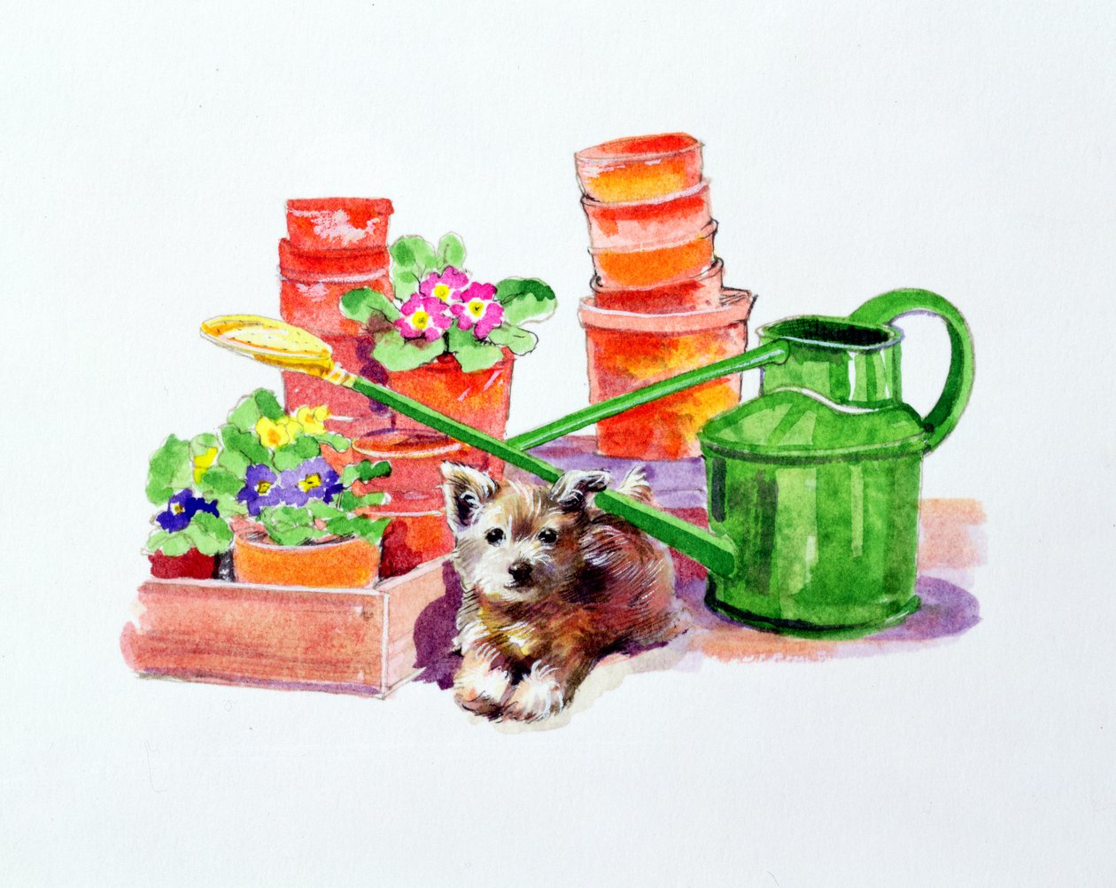 Terrier blandt terracotta potter af Diane Matthes