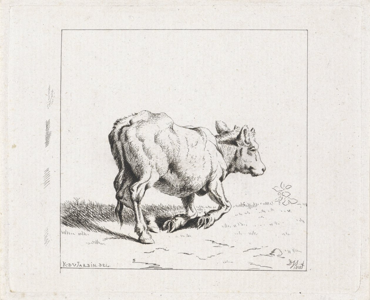 Stigende kalv af Diederik Jan Singendonck