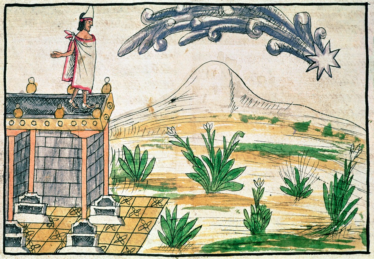 Montezuma II (1466-1520) ser på en komet, 1579 (vellum) af Diego Duran