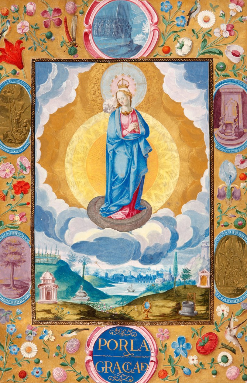 Immacule Conception i Enforceable Charter of ridderlighed af Arias Pardo de Cela af Diego Gómez