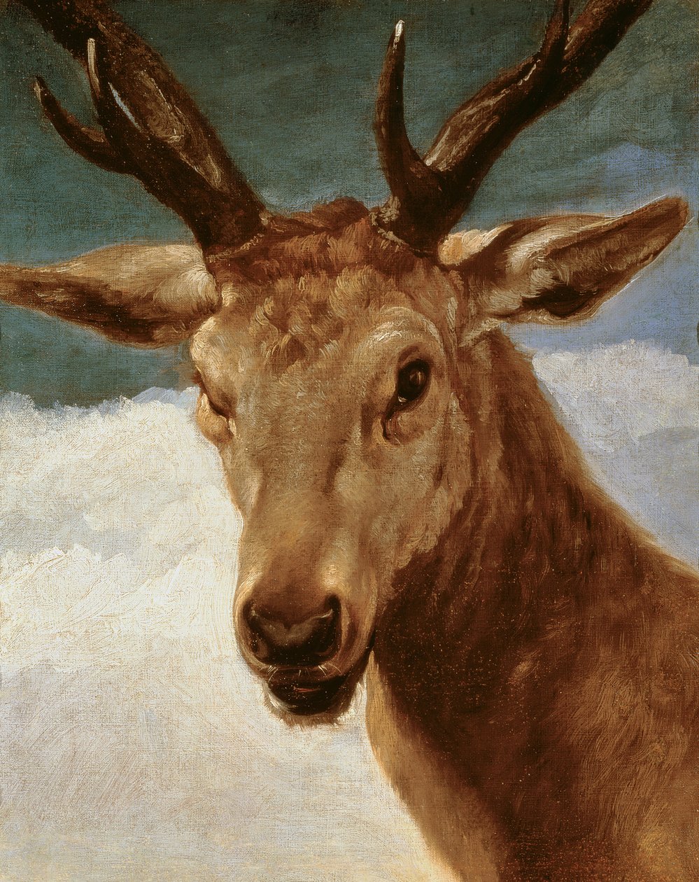 Leder af en kronhjort, 1634 af Diego Velázquez