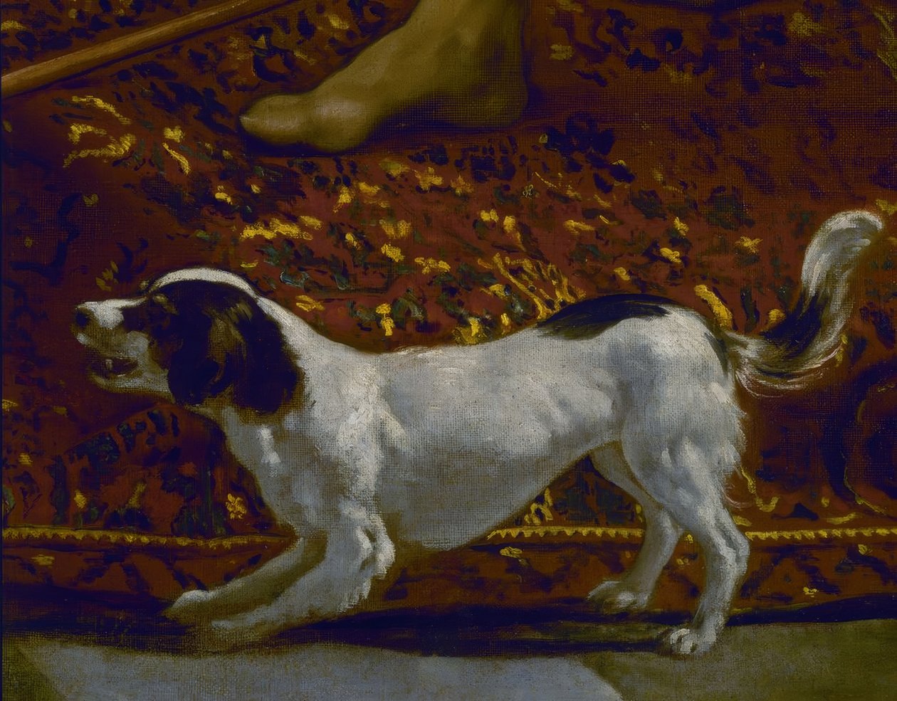 LA TUNICA DE JOSE - DETALJER OM HUNDEN - 17. ÅRHUNDREDE - SPANSK BAROK - GENOPRETTET I 1989 - Sæt 7331 af Diego Velázquez