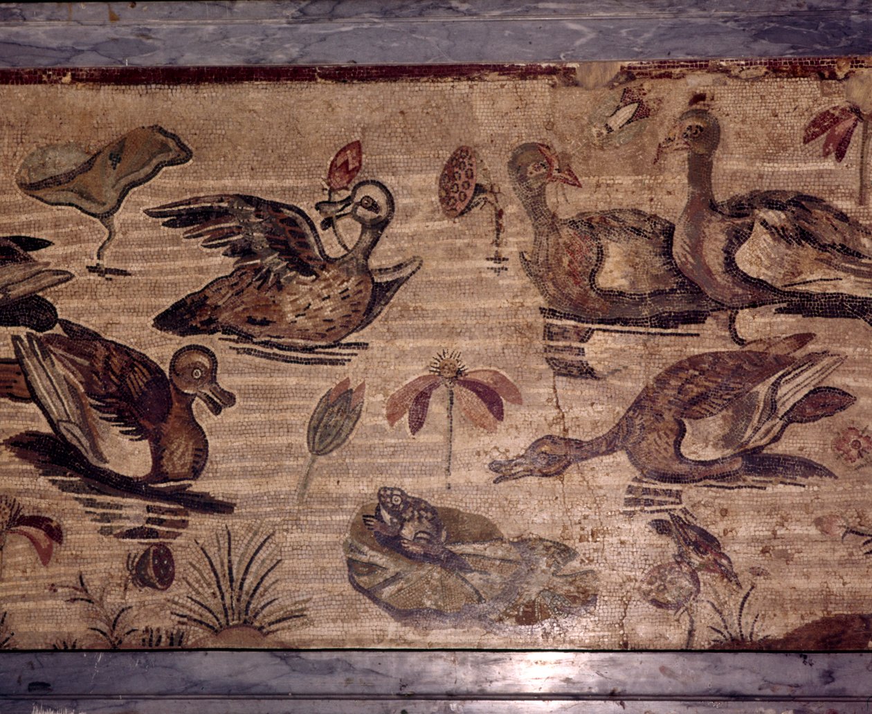 Romersk mosaik fra Pompeji af ænder og frøer i en vandhave, 1. århundrede af Dioscurides of Samos