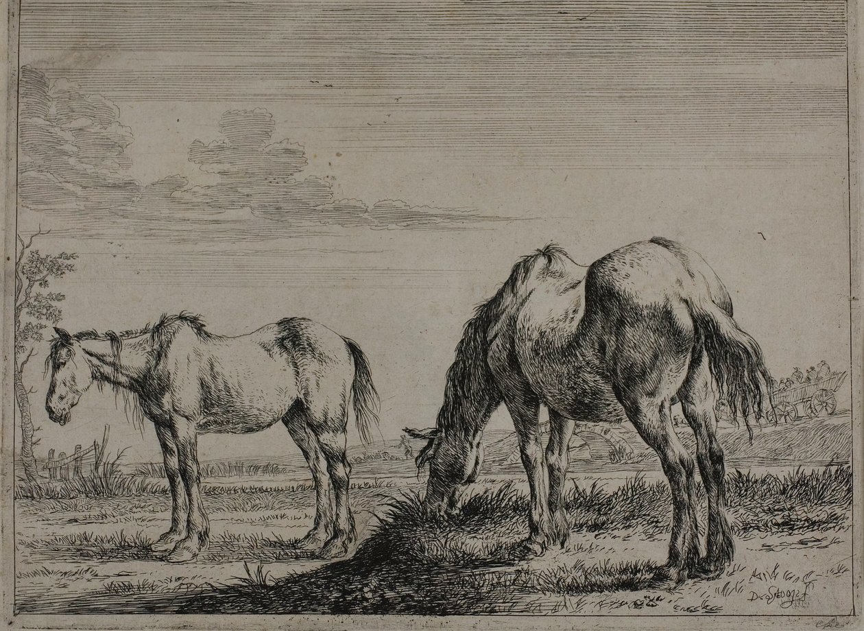 Grazing Horse, plade tre fra Series of Horses af Dirck Stoop