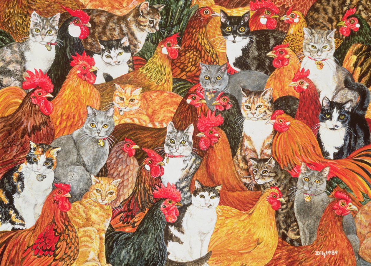 Kyllinge-katte af Ditz