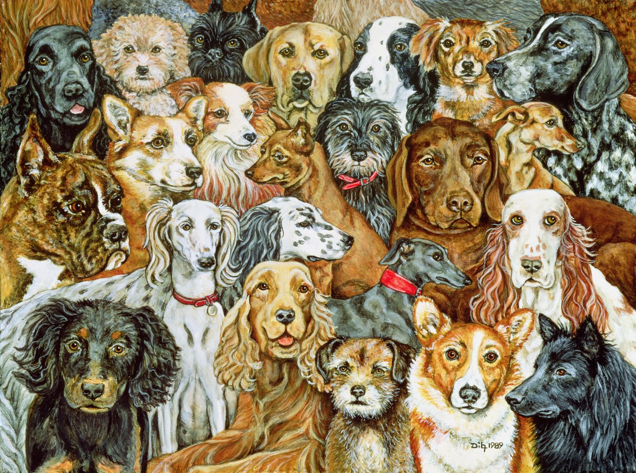 Dog Spread, 1989 af Ditz